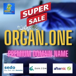 organ-one-tld-fibers-one-dreaming-one-domainpost-sedo-park-domain-crocodom-dan-afternic-premium-domain-name-domainname
