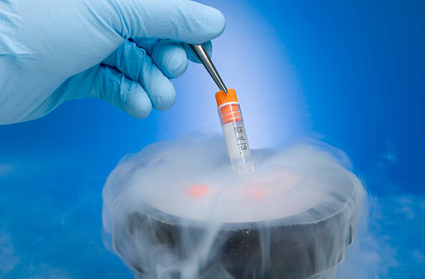 Revolutionizing the Cryogenic Industry: How Cryogenic.top is Changing the Game